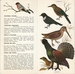 OG-Intérieur4 (Oiseaux et gibiers - Face B)