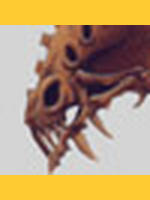 Image de iblitz