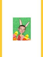 Image de phbrabbit