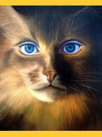 Image de rachita62
