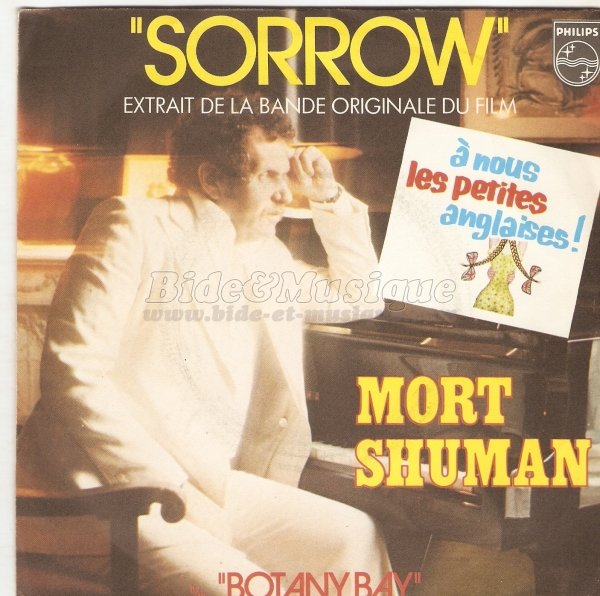 Un été 70 - N° 16 - Mort Shuman : Sorrow