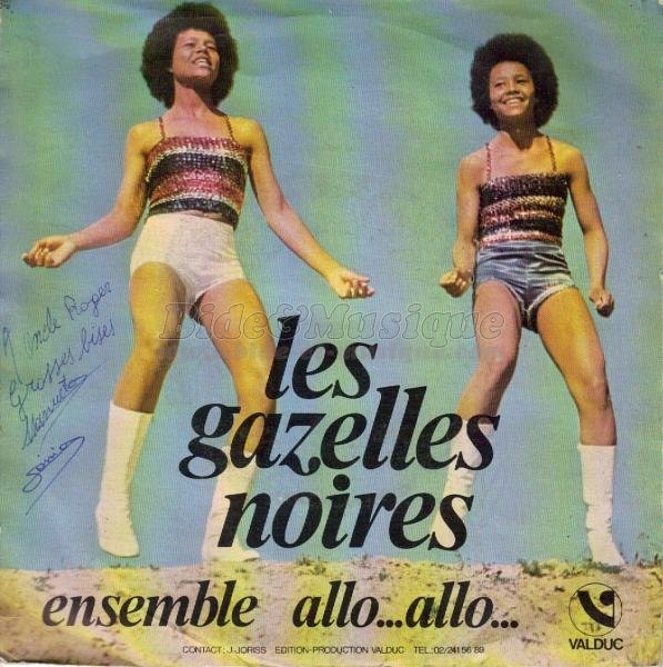 Gazelles Noires, Les - Sea, sex and bides: vos bides de l'été !