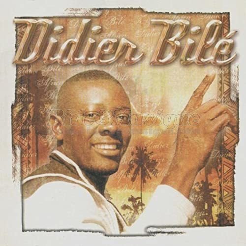 Didier Bilé - journal du hard de Bide, Le