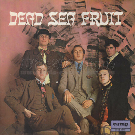 Dead Sea Fruit - Mr Coffee Pot