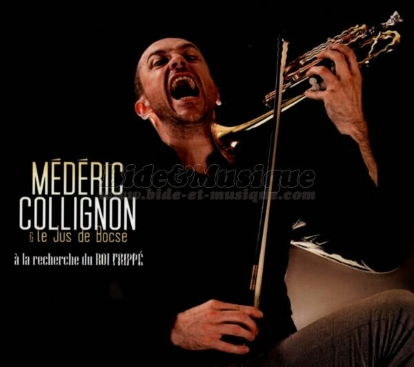 Médéric Collignon et Le Jus de Bocse - Jazz n' Swing