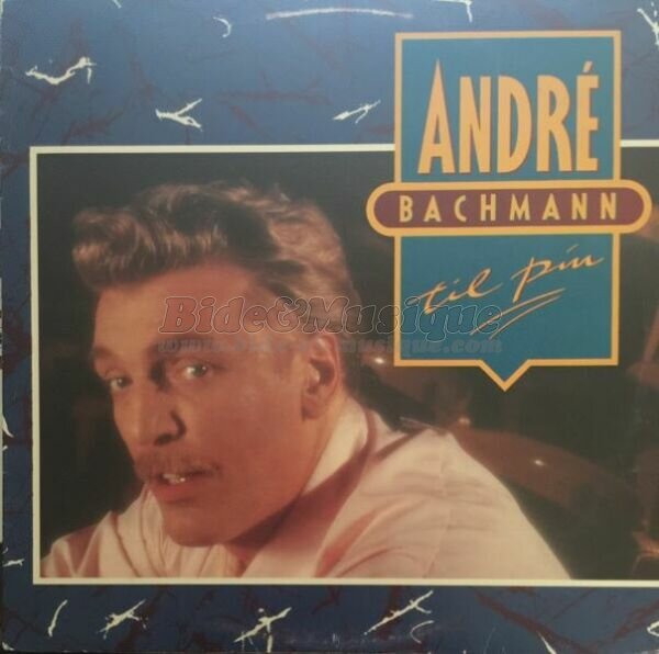 André Bachmann - Scandinabide