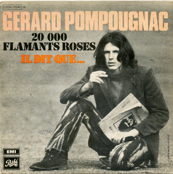 Gérard Pompougnac - 20 000 flamants roses
