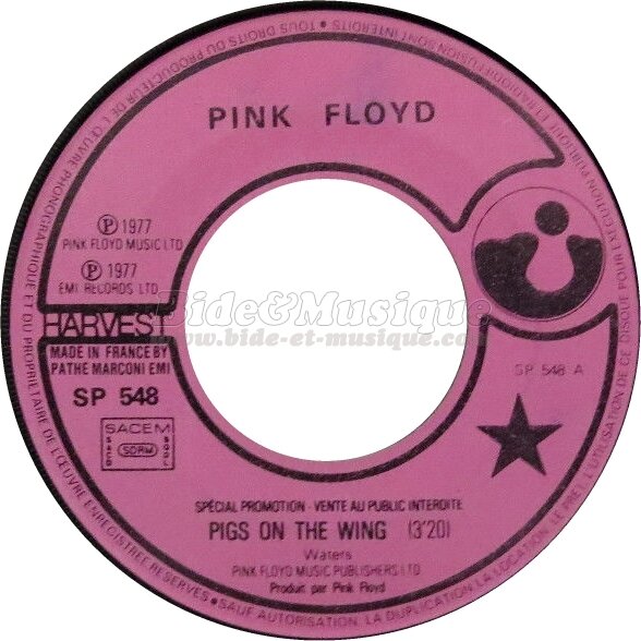 Pink Floyd - Pigs on the Wing (Parts 1 & 2)