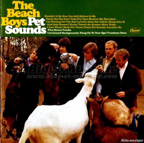 Beach Boys, The - La Croisière Bidesque s'amuse