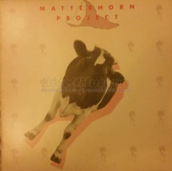 Matterhorn Project - I know I'm crazy