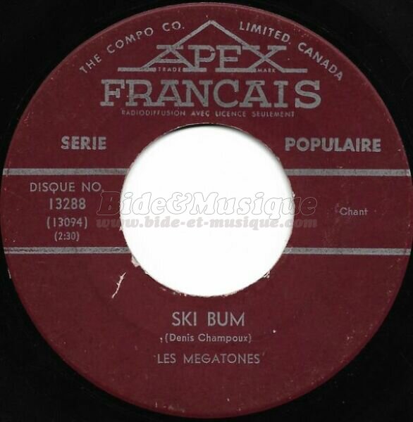 Les Mégatones - Ski bum