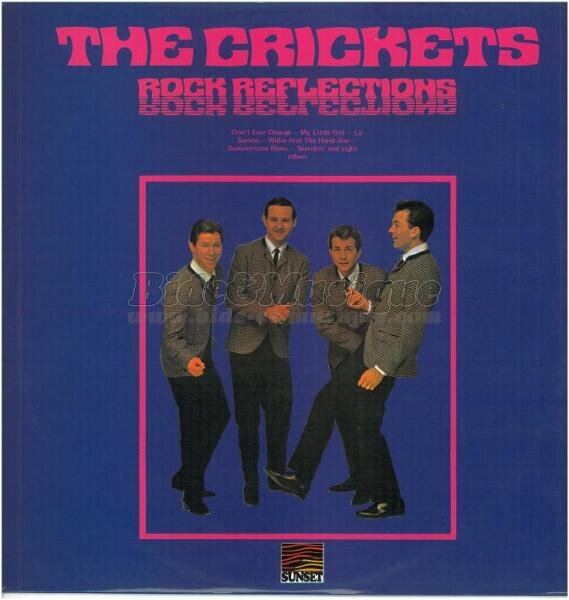 The Crickets - My little girl