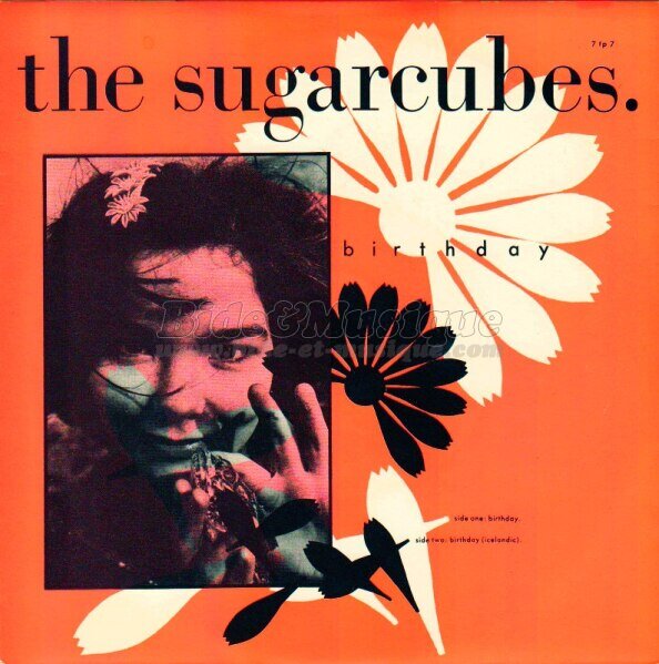 The Sugarcubes - Birthday