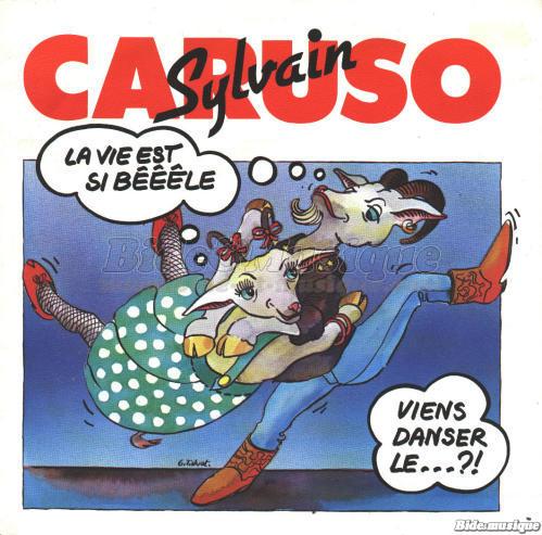 Sylvain Caruso - La vie est si bêêêle