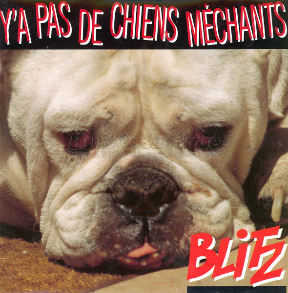 Blitz - Y'a pas de chiens méchants