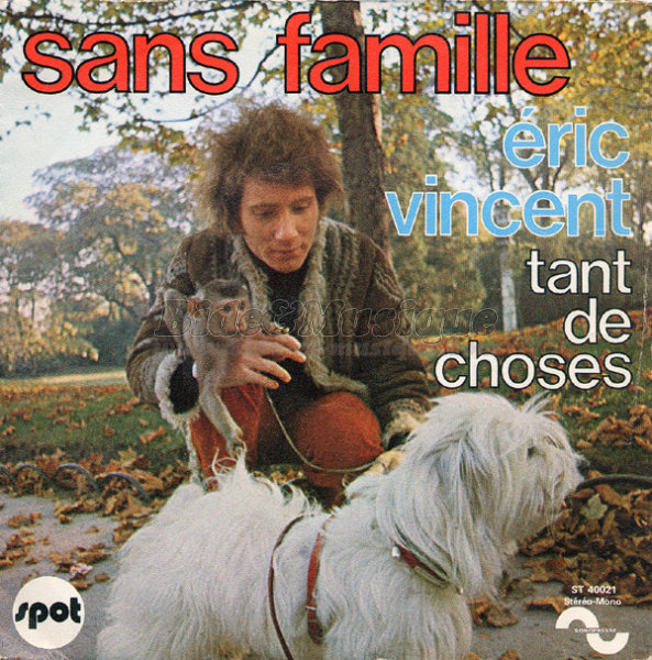 Éric Vincent - Sans famille