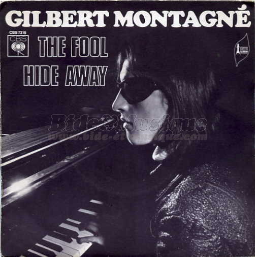 Gilbert Montagné - The fool