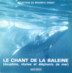 Le chant de la baleine - M�gapt�re ou baleine � bosse