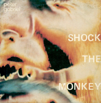 Peter Gabriel - Shock the Monkey