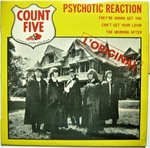 Count Five - Psychotic reaction