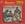Vignette de The Skaooters - Summer ska