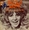 Vignette de Sheila White - V.O. V.F. (version anglophone)