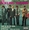 Vignette de Rolling Stones, The - V.O. V.F. (version anglophone)