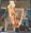 Vignette de Pink Floyd - Wish You Were Here (w. Stéphane Grappelli)