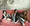 Vignette de Sugababes - Noughties