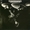 Vignette de Pavlov's Dog - 70'