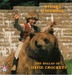 Pochette de Stuart Anderson - The ballad of Davie Crockett