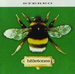 Pochette de The Bluetones - Slight Return