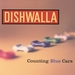 Pochette de Dishwalla - Counting blue cars