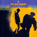 Pochette de The Flaming Lips - Race for the prize