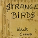 Pochette de Black Crows - Strange birds