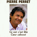 Pochette de Pierre Perret - Le vin