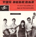 Pochette de The Seekers - I'll never find another you